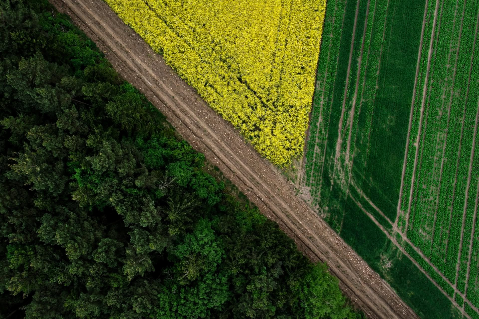 Aerial view of sustainable agricultural fields