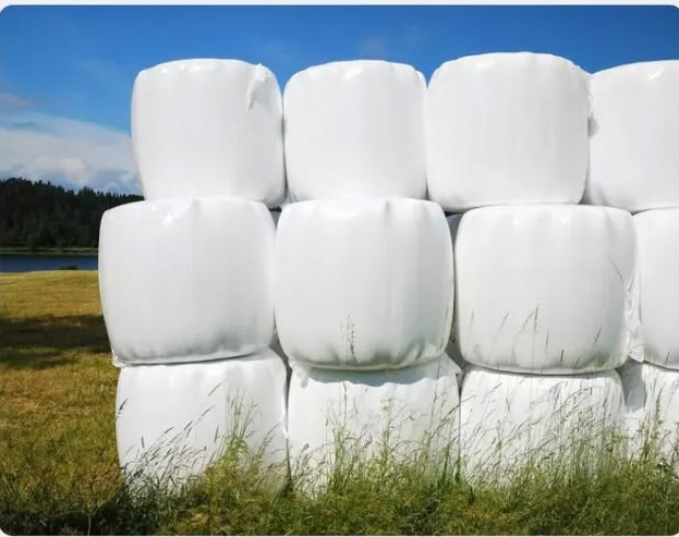 Wrapped white agricultural silage bales stacked under blue sky